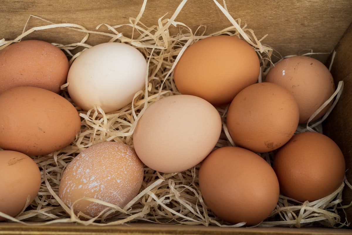 Carne e Uova: Perche Sono Cosi Salutari e Come Integrarle nella Dieta