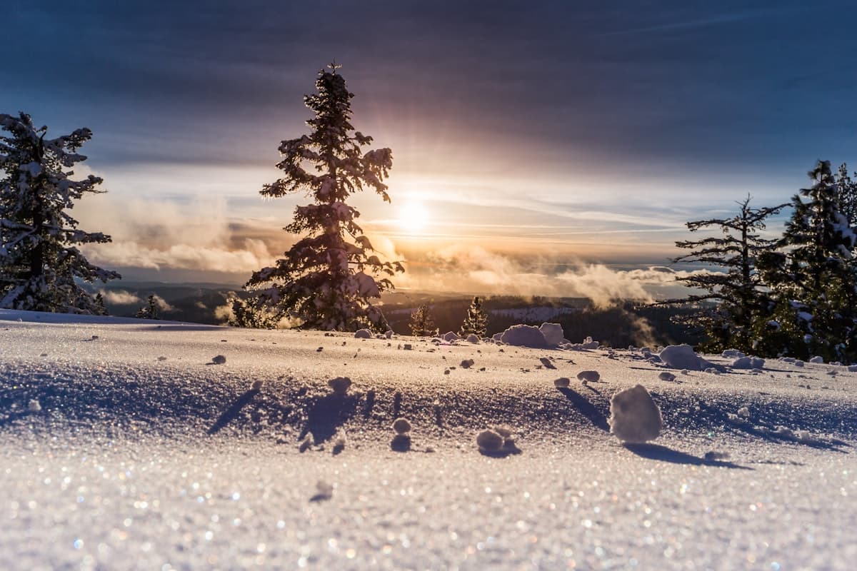 Energia Invernale: Movimento, Luce, Proteine - Invece di 5 Confezioni di Integratori
