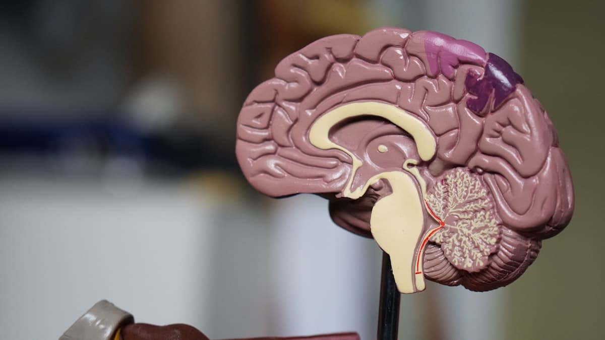 Cosa Fare Quando i Farmaci Irritano lo Stomaco? Guida Pratica
